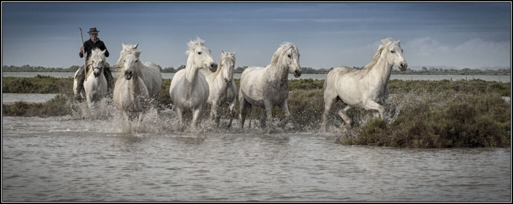 MichaelCurtisPhotography.co.uk